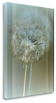 "Flaura II" By W. Blake, Giclee Print on Gallery Wrap Canvas, Ready to Hang
