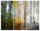 "Forest in Early Morning" Photo Metal Wall Art, 3 Panels, 36"x28"