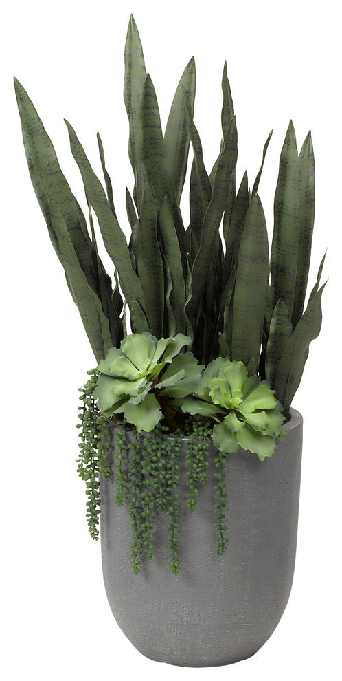 Sensaveria Plant With Echeveria And Cedum, Round Gray Planter