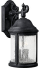 Progress Lighting 2-Light Wall Lantern With Water Seeded Glass Curved, Black