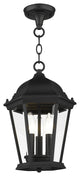 Textured Black Traditional, Historical, Outdoor Pendant Lantern