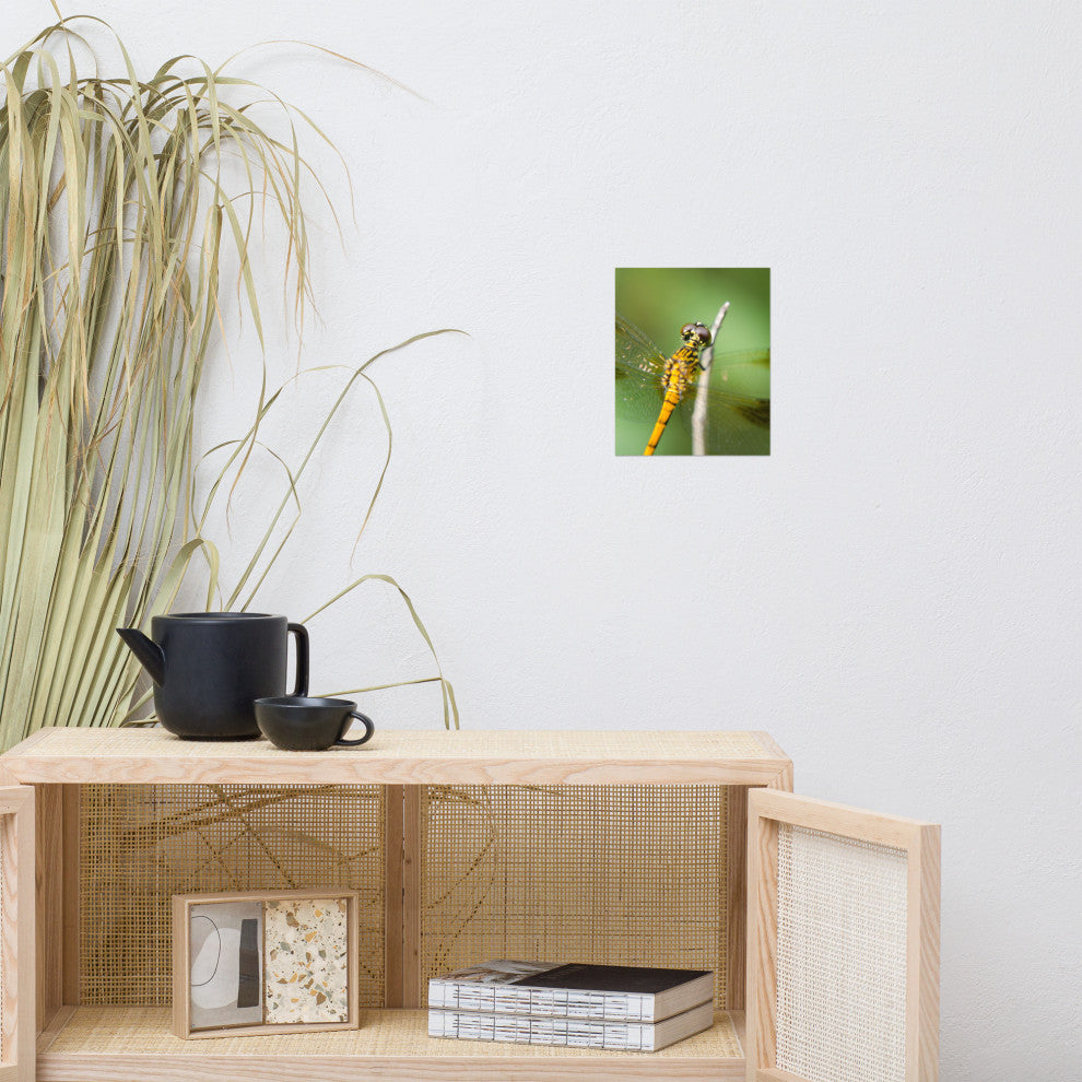 Dragonfly at Bombay Hook Wildlife Photography Unframed Wall Art Print, 8" X 10"