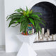 21" Artificial Boston Fern, Handmade Mexican Talavera Ceramic Planter