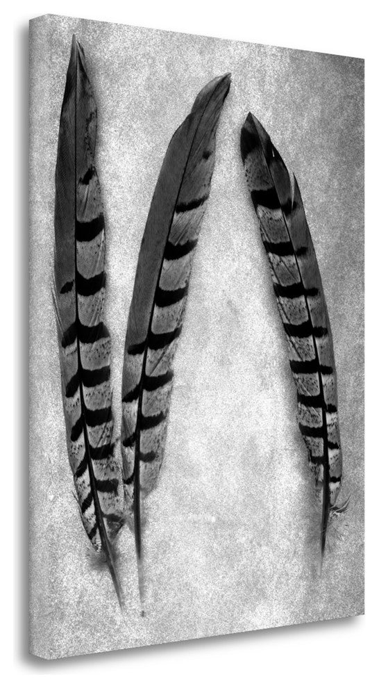 "Feather B - W - 1" By Alan Blaustein, Giclee Print on Gallery Wrap Canvas