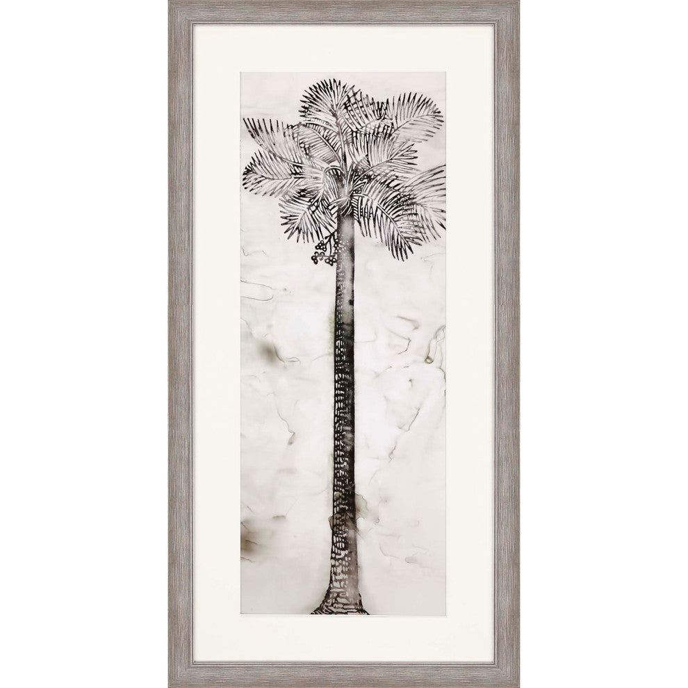 Palmae Framed Art