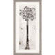 Palmae Framed Art