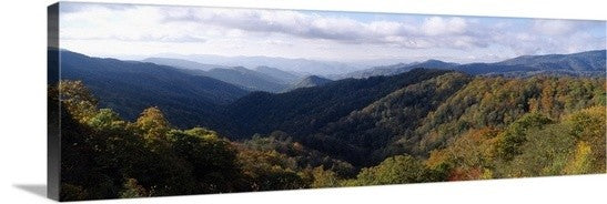 "Great Smoky Mountains National Park TN" Canvas Art, 36"x12"x1.25"