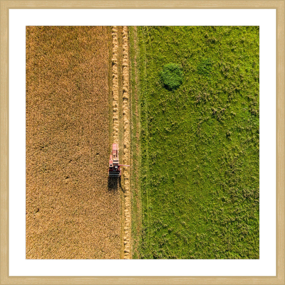 "Plowing" Framed Print by Karolis Janulis