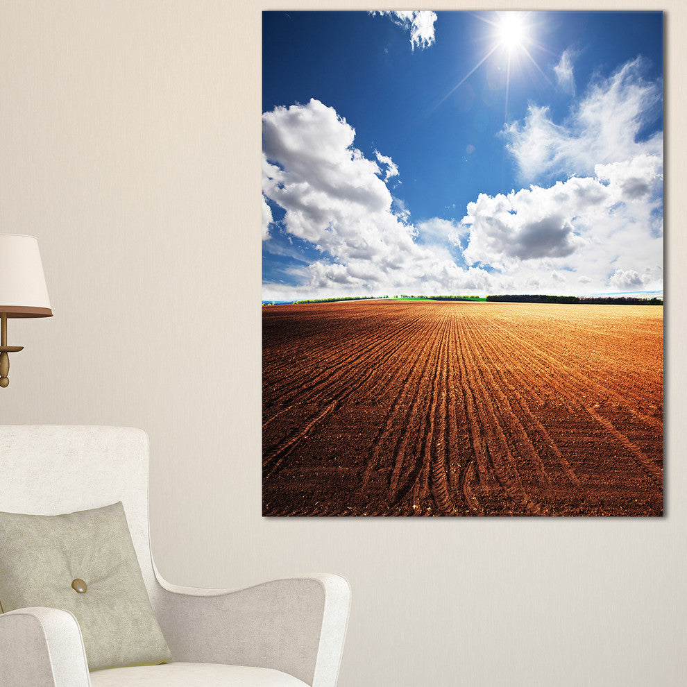 "Expansive Field Under White Clouds" Modern Landscape Wall Art Canvas, 16"x32"