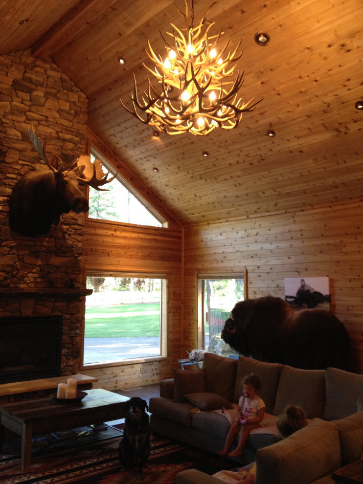 Mule Deer Double Tier Antler Chandelier Light, Xxl, Rawhide Shades
