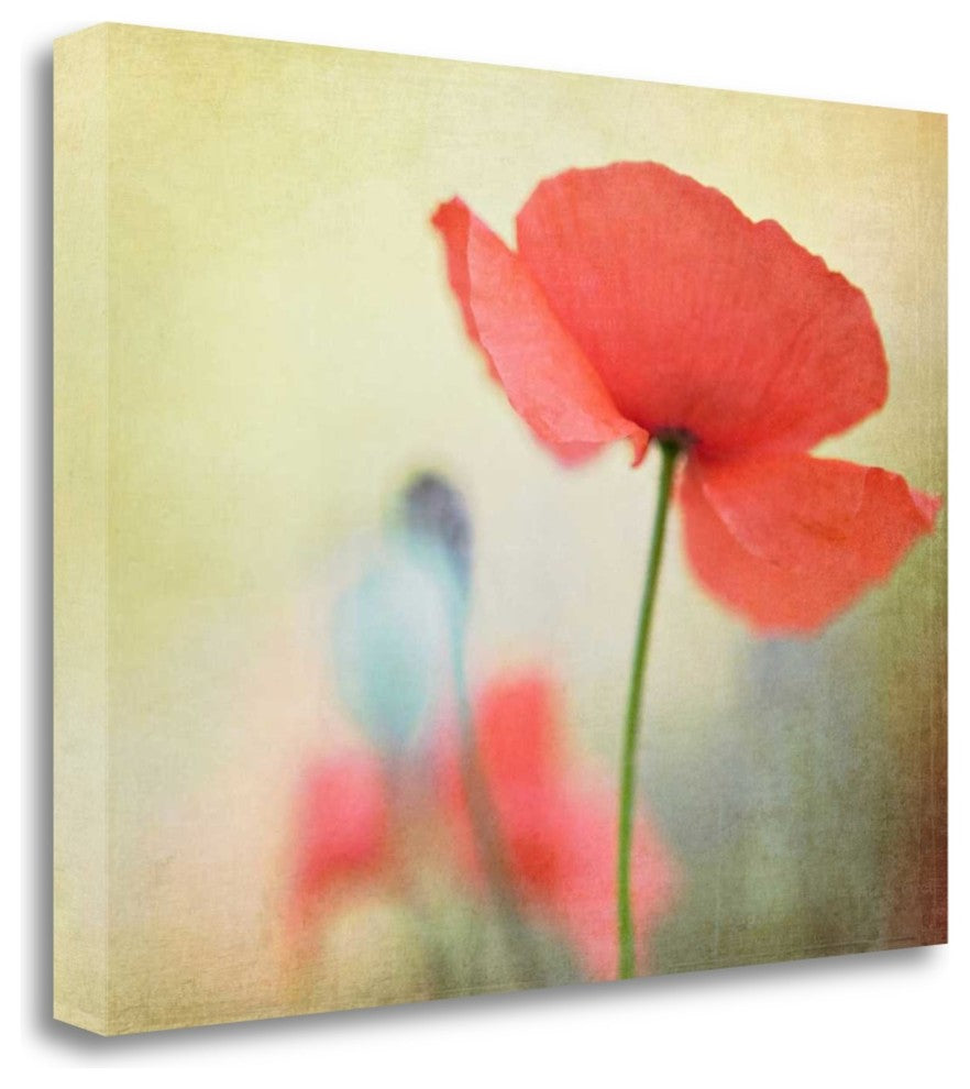 "Poppy" By Kim Fearheiley, Giclee Print on Gallery Wrap Canvas, Ready to Hang