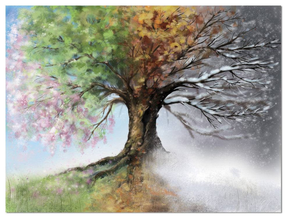 Designart 'Tree with Four Seasons' Large Tree Painting Canvas Art Print, 40"x30"