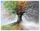 Designart 'Tree with Four Seasons' Large Tree Painting Canvas Art Print, 40"x30"