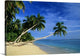 "Palm trees bending over the beach" Canvas Art, 48"x32"x1.25"
