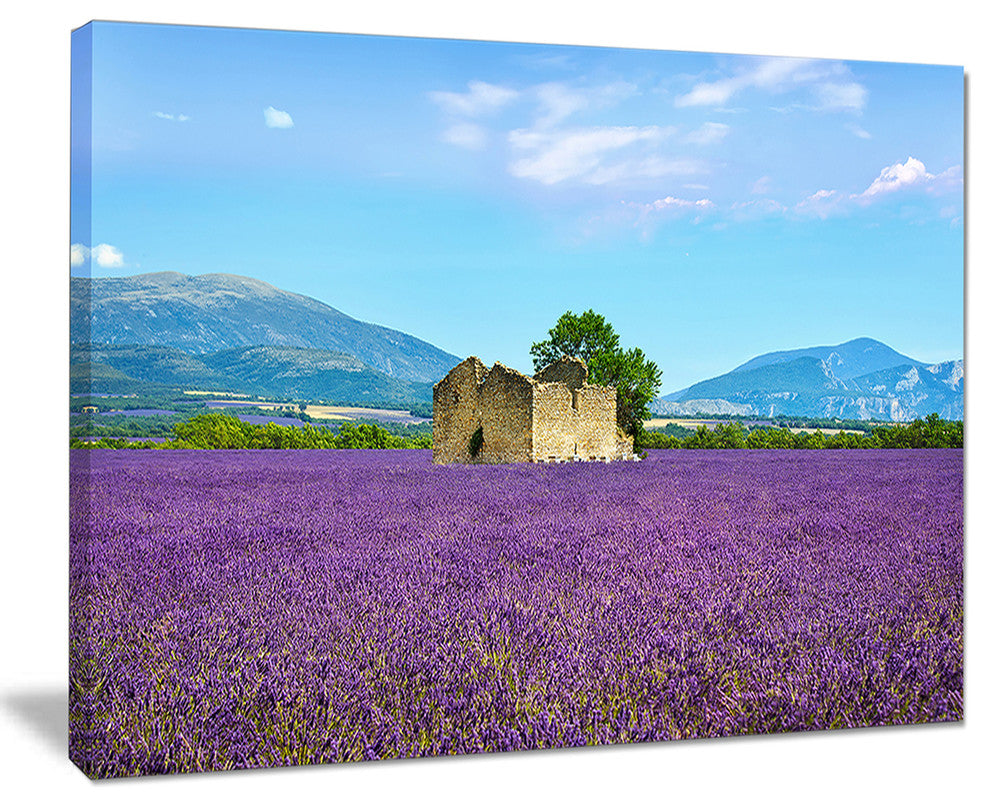 "Old House And Tree in Lavender Field" Landscape Wall Art, 40"x30"