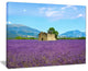 "Old House And Tree in Lavender Field" Landscape Wall Art, 40"x30"