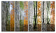 Wood Panorama Changing Seasons, Landscape Canvas Art Print, 48"x28", 4 Panels