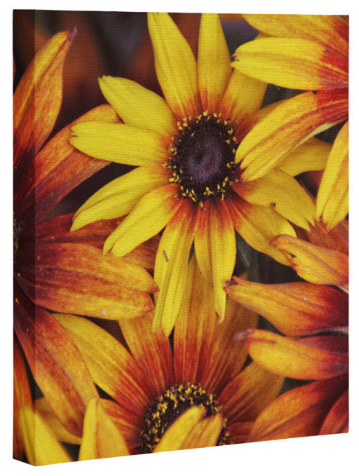 Deny Designs Shannon Clark Sunshine Petals Art Canvas