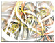 "Symmetrical Spiral Fractal Flowers" Digital Metal Wall Art, 3 Panels, 36"x28"