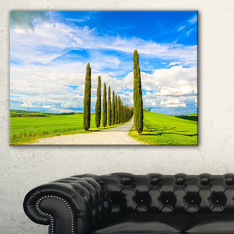 "White Road Through Cypress Trees" Landscape Wall Art Print, 32"x16"