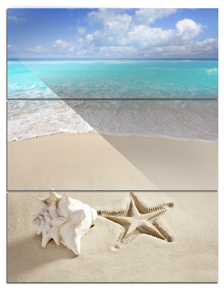 "Caribbean Beach Starfish" Beach Photography Metal Wall Art, 3 Panels, 28"x36"