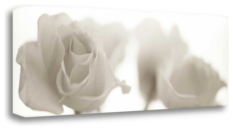 "Florison - 103" By Alan Blaustein, Giclee Print on Gallery Wrap Canvas