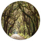 Trees Tunnel In Botany Bay, Landscape Round Wall Art, 23"