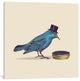 "Gentlebird Square" by Terry Fan, 37x37x1.5