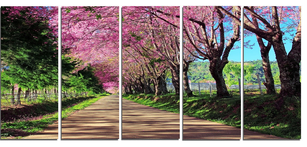 "Cherry Blossom Pathway in Chiang Mai" Landscape Wall Art, 5 Panels, 60"x28"