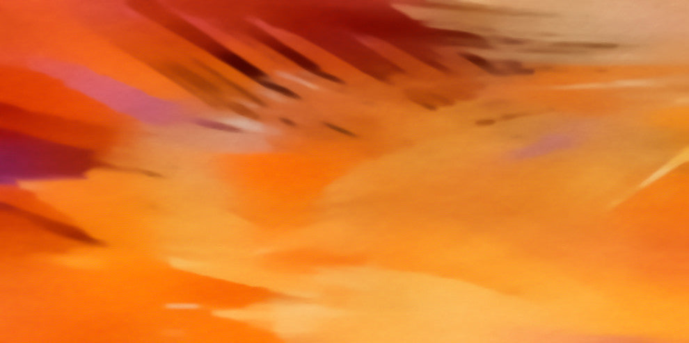 Color Flow Abstract, Canvas Giclee, 20"x10"