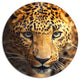 Leopard Face Close-Up, Animal Disc Metal Artwork, 11"