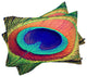 Deny Designs Shannon Clark The Eye Pillowcase