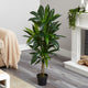 48" Dracaena Silk Plant, Real Touch