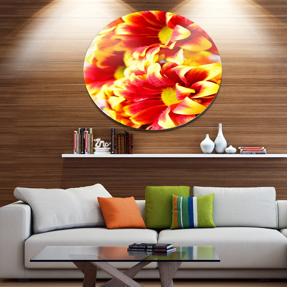 Red Yellow Flower Background Photo, Floral Disc Metal Wall Art, 23"