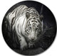 White Tiger, Animal Photography Disc Metal Artwork, 36"