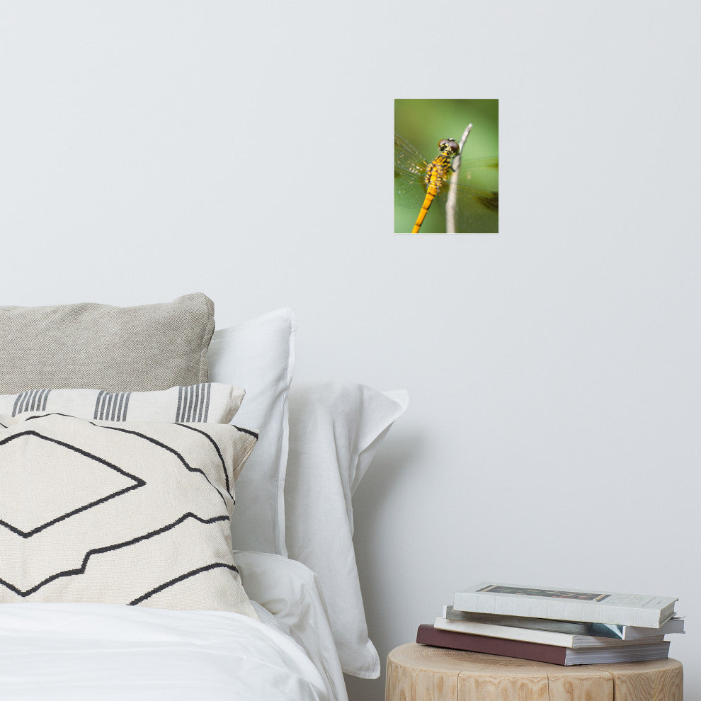 Dragonfly at Bombay Hook Wildlife Photography Unframed Wall Art Print, 8" X 10"