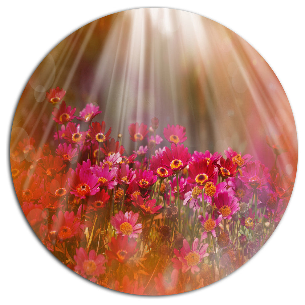 Sunlight Over Garden With Flowers, Floral Round Metal Wall Art, 23"