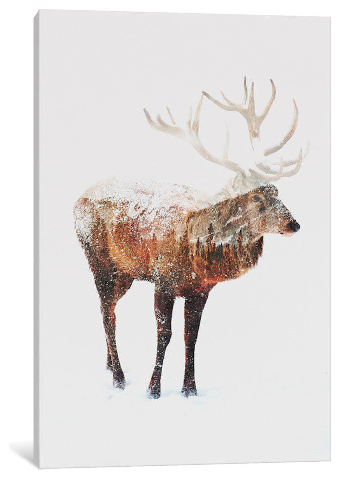 "Deer V" by Andreas Lie, 18x12x1.5"