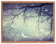 Shannon Clark Diamonds In The Sky Rectangular Tray
