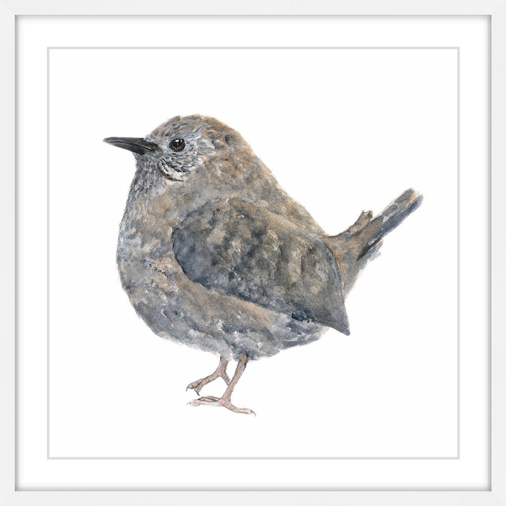 Marmont Hill, "Wren Bird" by Thimble Sparrow Framed Painting Print, 32x32