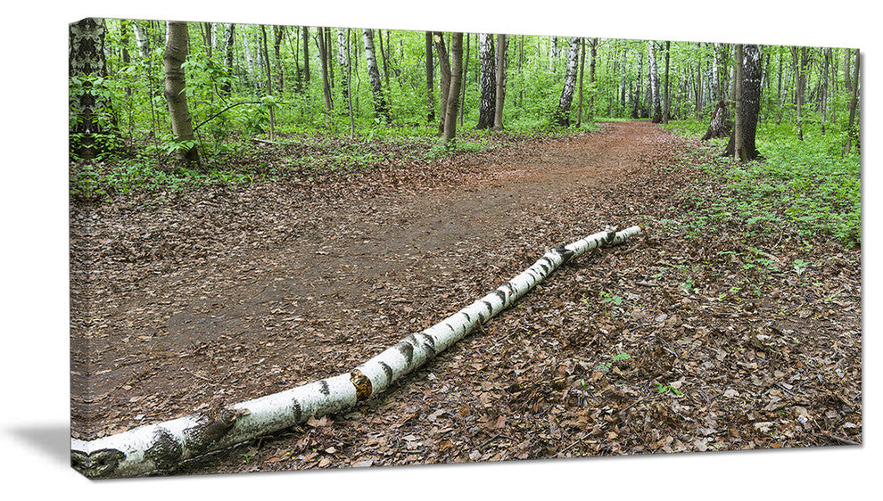 "Trunk of Birch On The Track" Contemporary Landscape Wall Art, 1 Panel, 60"x28"