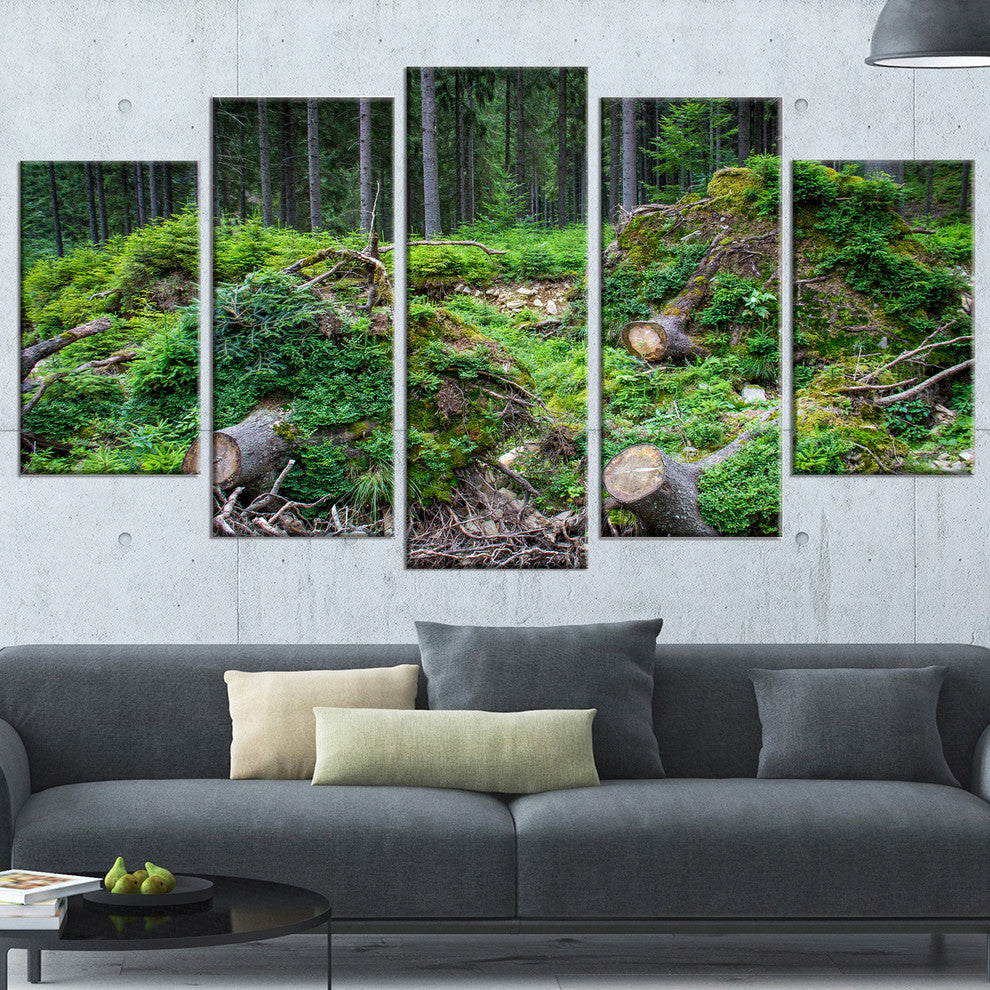 "Wild Deep Forest Rocks and Hills" Landscape Art Print Canvas, 5 Panels, 60"x32"