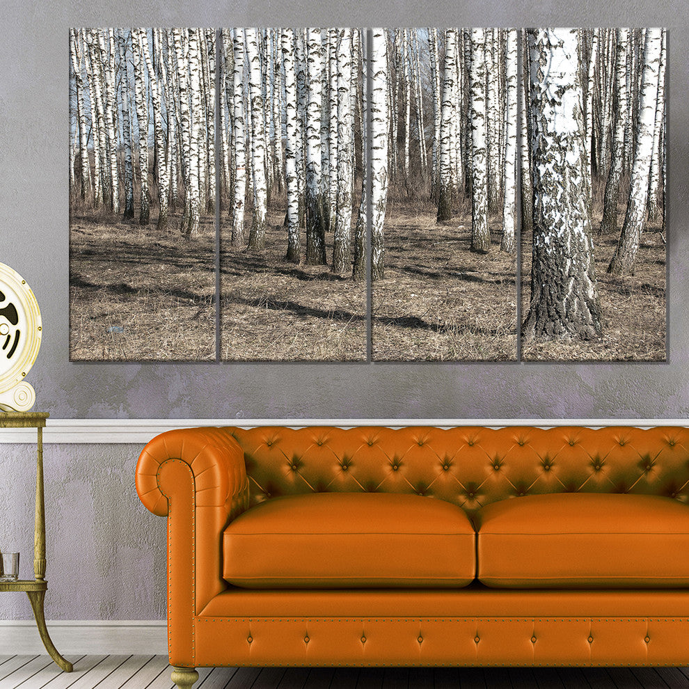 Beautiful Dense Birch Forest View, Modern Forest Canvas Art, 48"x28", 4 Panels