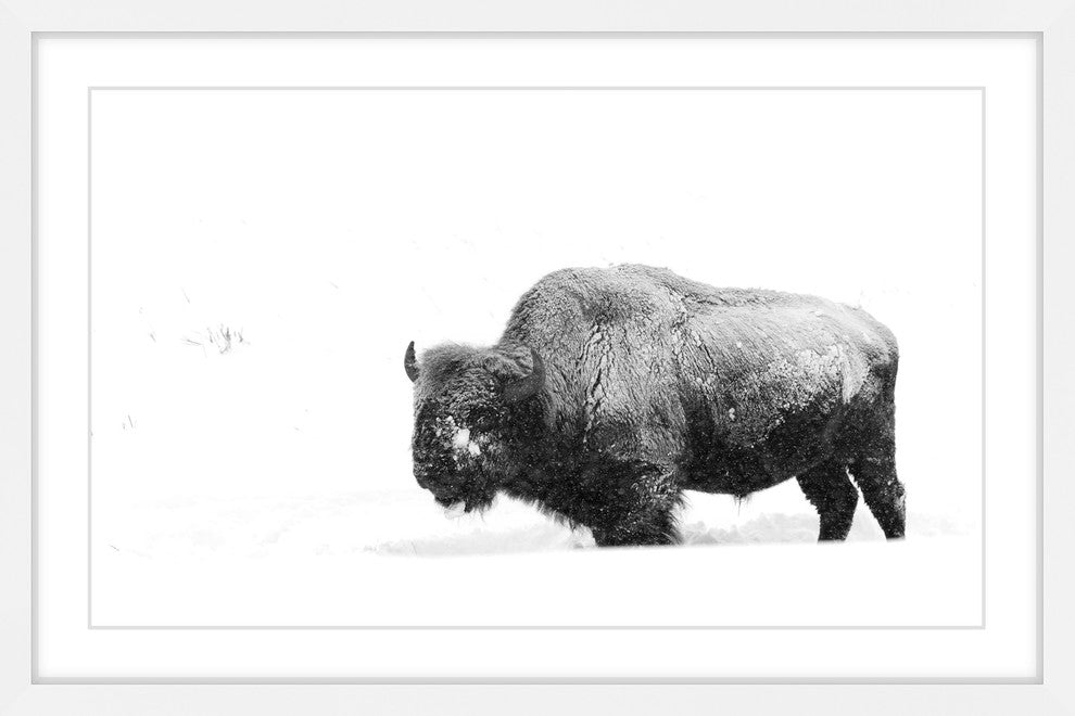 Marmont Hill, "Winter Coat" Framed Painting Print, 45x30