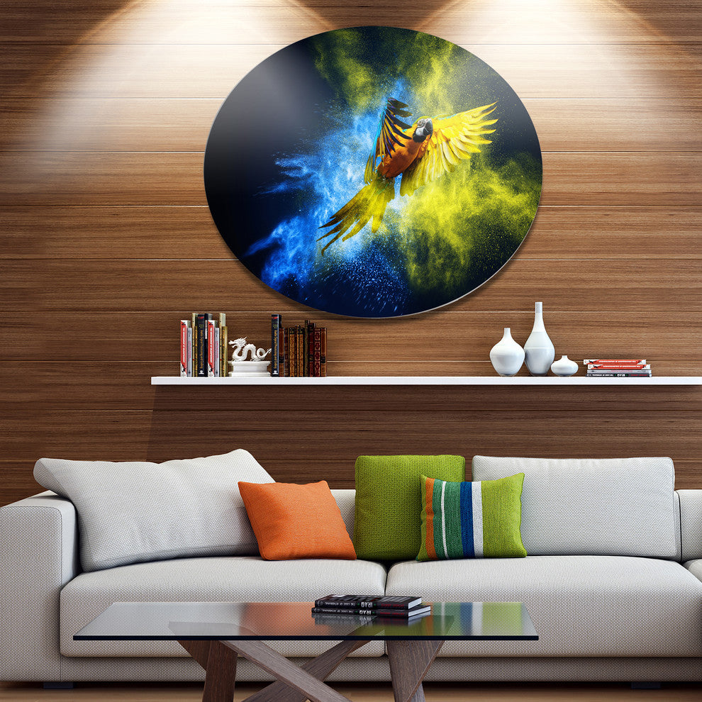 Flying Parrot Over Color Burst, Animal Art Disc Metal Wall Art, 38"