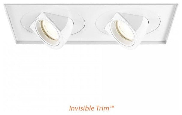 Tesla LED Multiple Two-Light Flood 3000K 90CRI Invisible Trim With-Light Engine