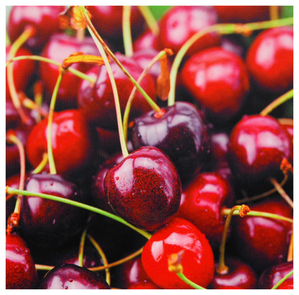 Cherries Canvas Wall Art