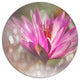 Pink Lotus On Abstract Background, Floral Large Disc Metal Artwork, 36"