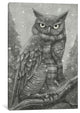 "Winter Owl" by Terry Fan, 40x26x1.5
