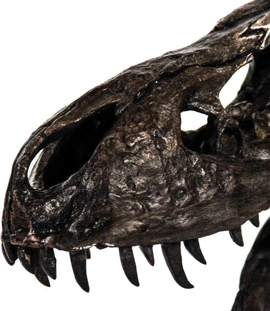 Dinosaur Skull Statue